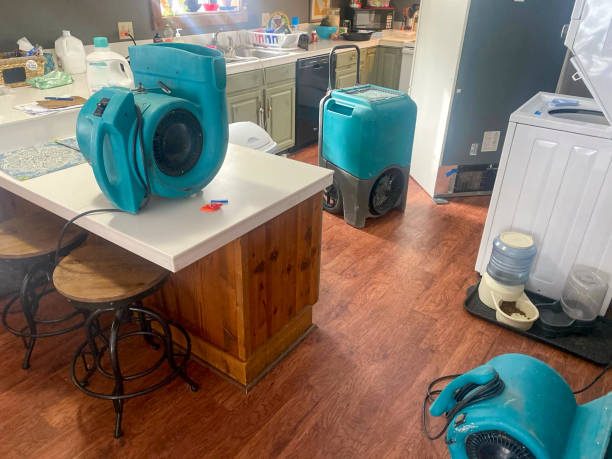 Best Water damage restoration near me  in Monterey Park, CA