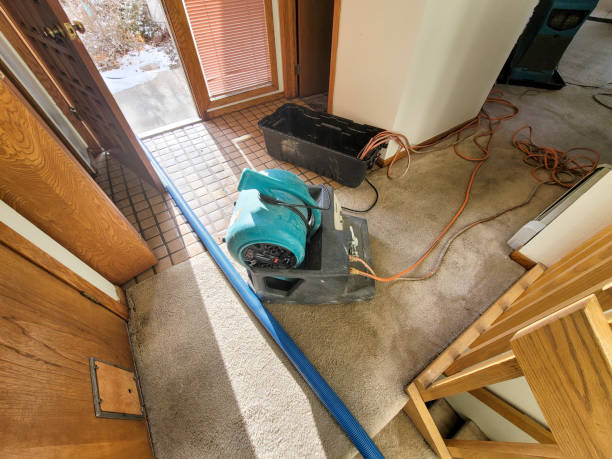 Best Commercial water damage restoration  in Monterey Park, CA