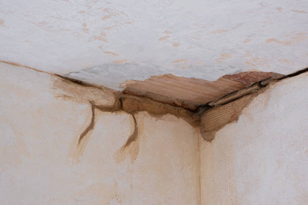 Best Local water damage restoration  in Monterey Park, CA