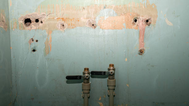 Best Flood damage cleanup  in Monterey Park, CA