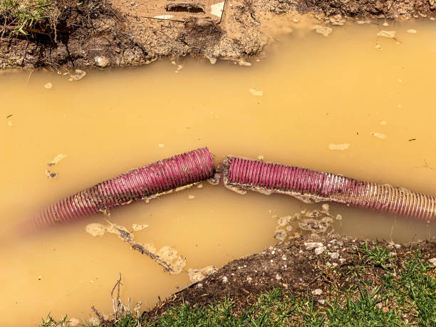Best Flood restoration services  in Monterey Park, CA