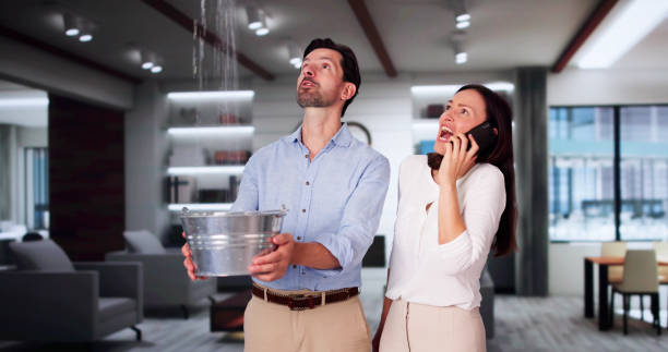 Best Ceiling water damage repair  in Monterey Park, CA